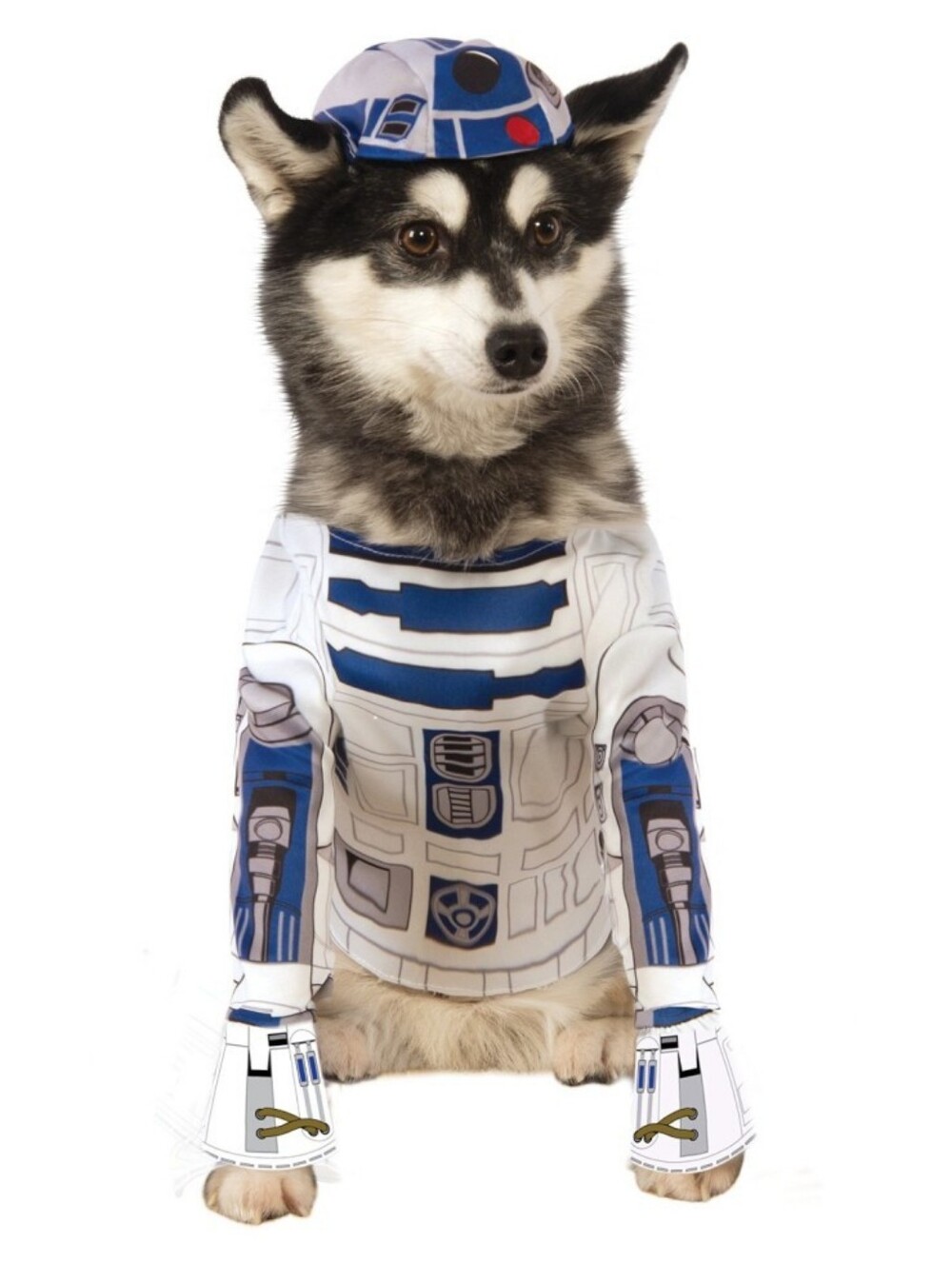 Star Wars R2D2 Dog Costume